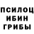 Псилоцибиновые грибы Cubensis Nelli Kosinskiy