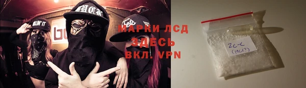 шишки Белокуриха